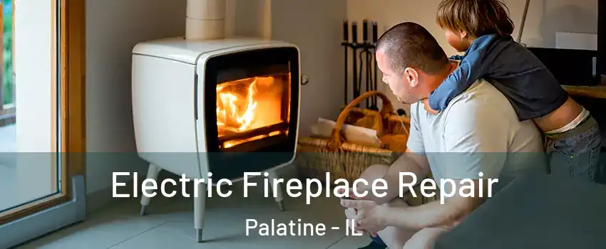  Electric Fireplace Repair Palatine - IL
