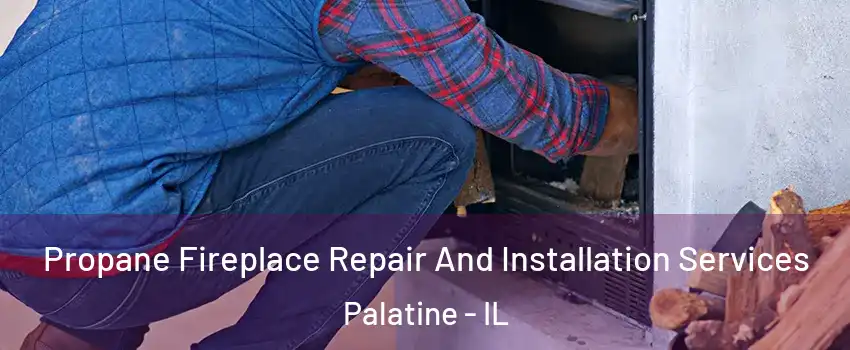  Propane Fireplace Repair And Installation Services Palatine - IL